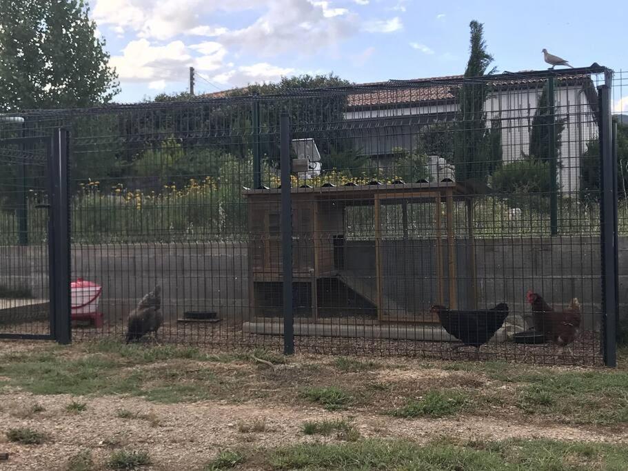 Cocon Aux Portes Des Cevennes Avec Piscine * Moulès-et-Baucels